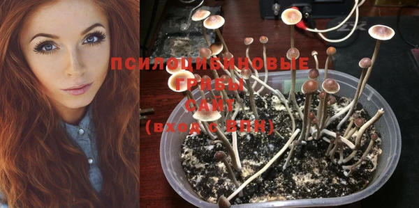бошки Липки