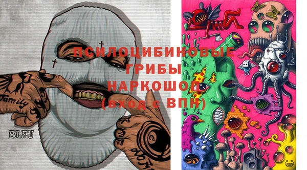 индика Одинцово