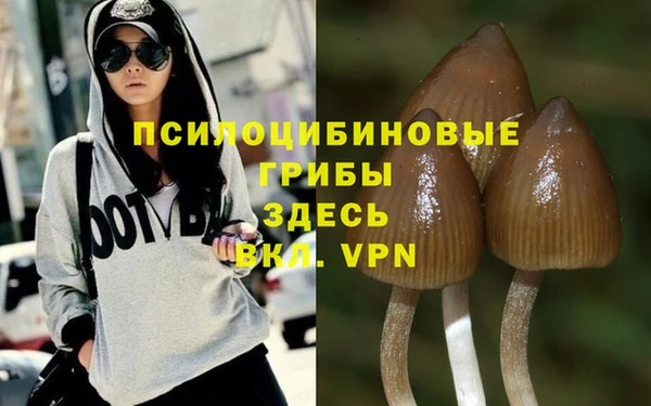 спиды Новый Уренгой
