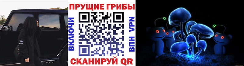 Псилоцибиновые грибы MAGIC MUSHROOMS  KRAKEN ONION  Мариинский Посад 